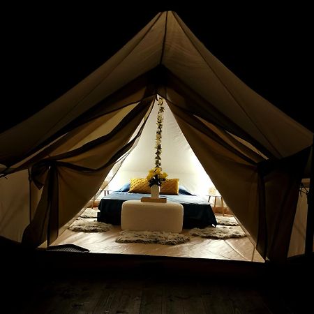 Green Garden Glamping Retezat Bălan Exteriér fotografie