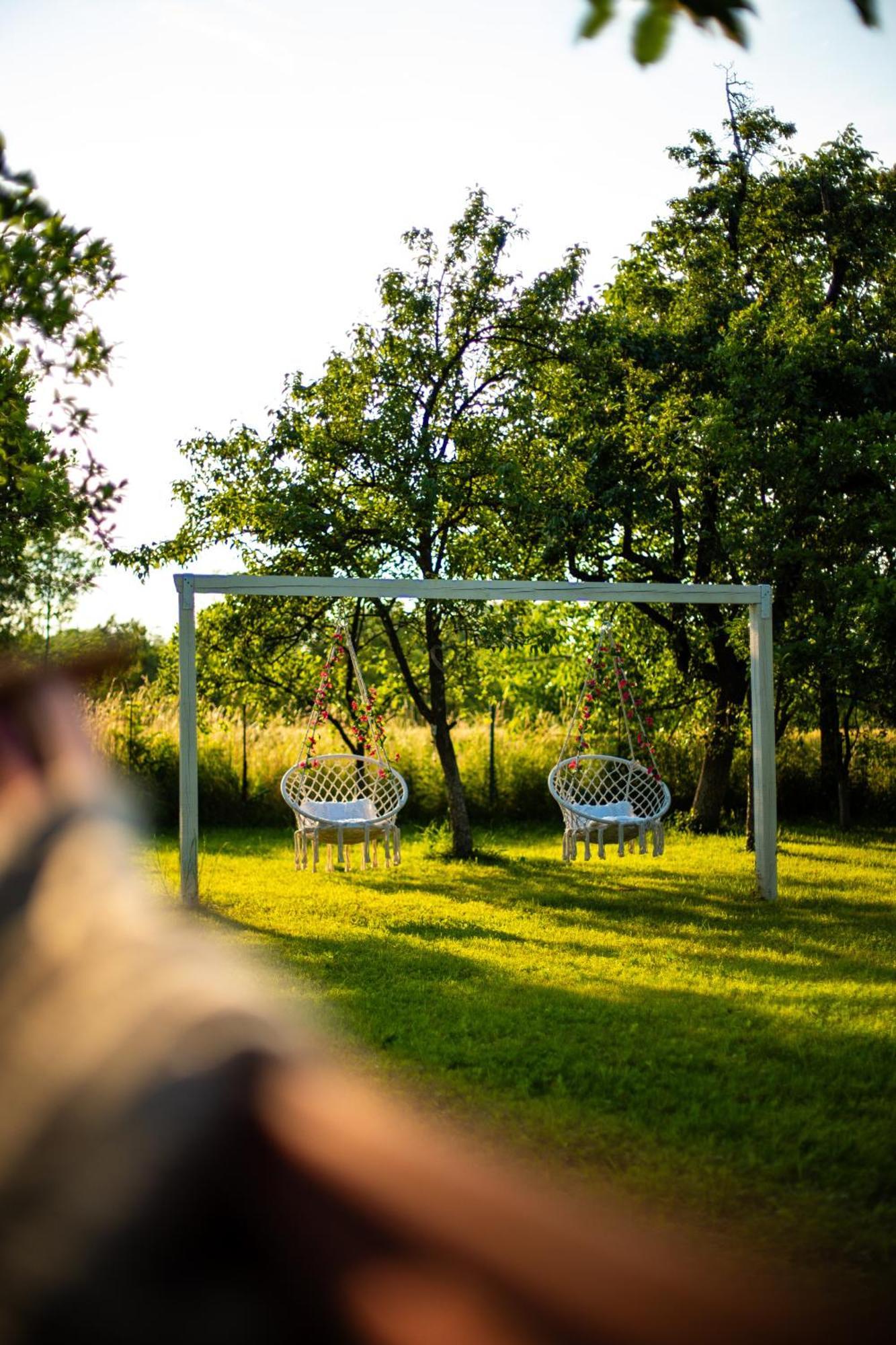 Green Garden Glamping Retezat Bălan Exteriér fotografie